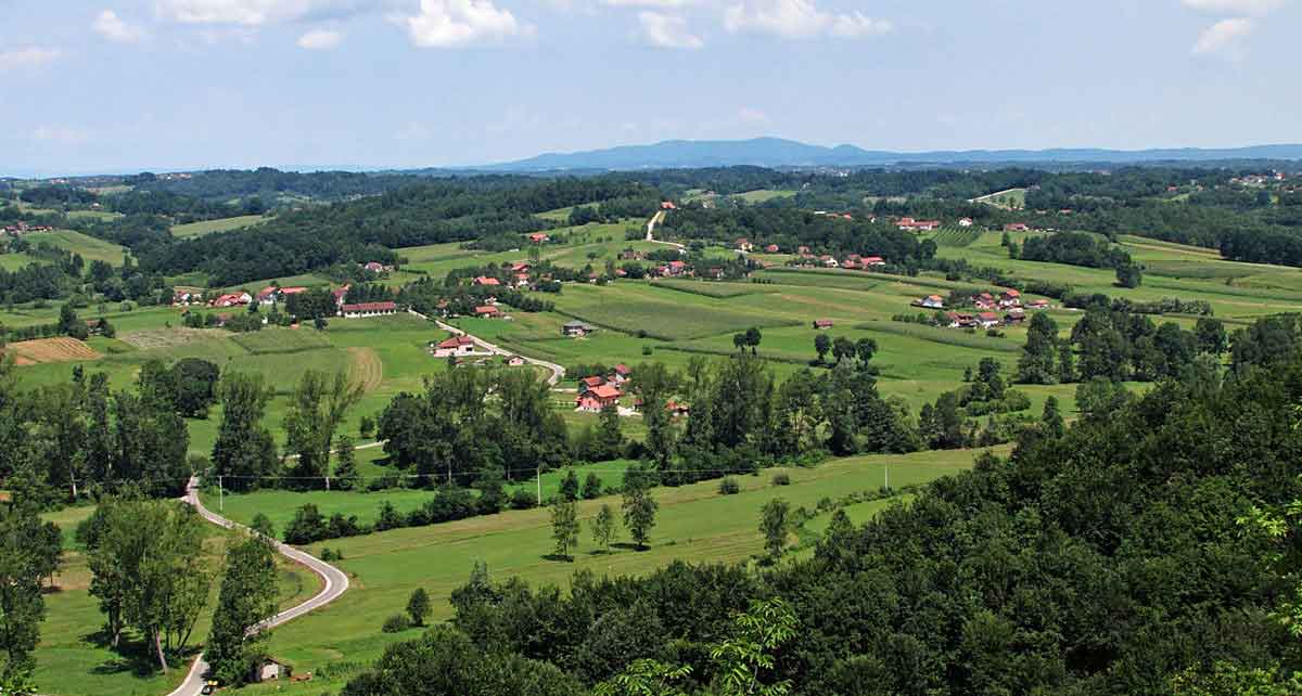 proizvodnja vocnih sadnica Velika Drenova, Srbija
